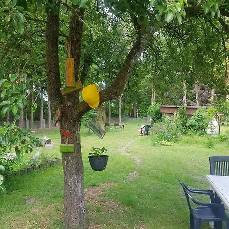 Boszicht Hutje Frühstückspension Wingst
